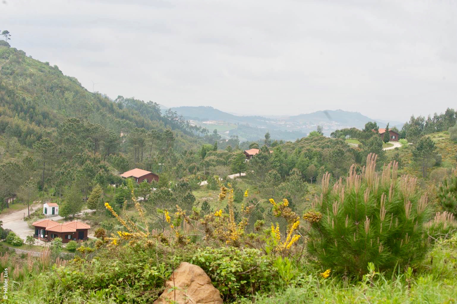 Wolf Conservation Accommodation