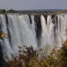 Education Support Zimbabwe
